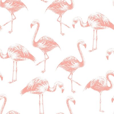 Behang Naadloos patroon met de hand getekende flamingo