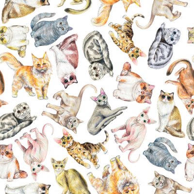 Naadloos patroon met tien verschillende die rassen van katten op witte achtergrond worden geïsoleerd. Aquarel potloden hand getekende illustratie