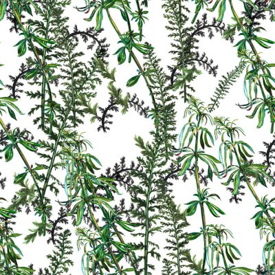 Behang Naadloos patroon met waterverf hand getekende green grass
