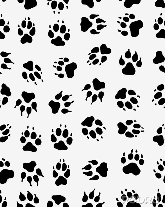 Behang Naadloos patroon van de druk van honden poten op een witte achtergrond