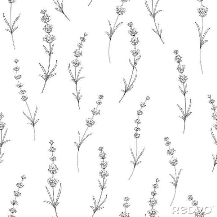 Behang Naadloos patroon van lavendel bloemen op een witte achtergrond. Waterverfpatroon met Lavendel voor verpakkingspapier. Vector illustratie.