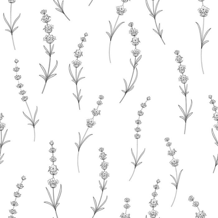 Behang Naadloos patroon van lavendel bloemen op een witte achtergrond. Waterverfpatroon met Lavendel voor verpakkingspapier. Vector illustratie.