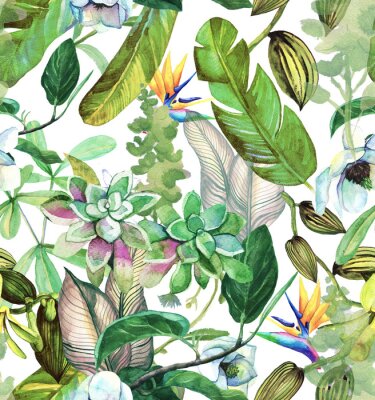 Behang Naadloos waterverfpatroon met tropische bloemen, magnolia, succulentsr, vanilleorchidee, tropische bladeren, banaanbladeren