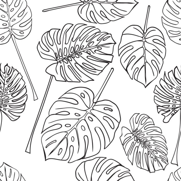 Behang Naadloze achtergrond met silhouet tropische monsterabladeren. Zwart op een witte achtergrond