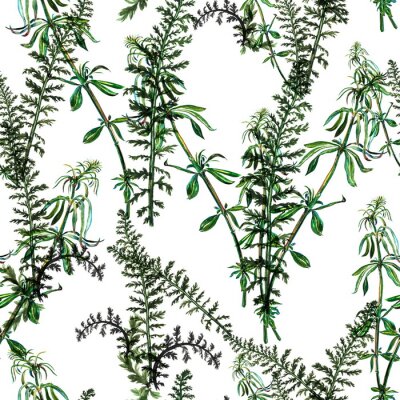 Behang Naadloze patroon gemaakt van aquarel handgeschilderde gras