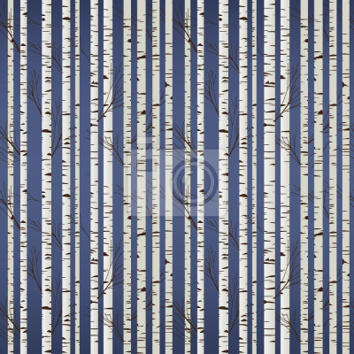 Behang Nachtbomen - berken in het bos