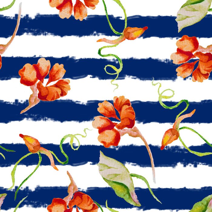 Behang Nasturium op de gestreepte nautische achtergrond. Watercolor naadloos patroon met wilde zomerbloemen.