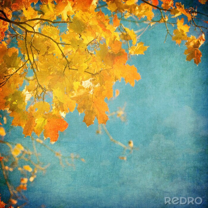 Behang Natuur en bladeren