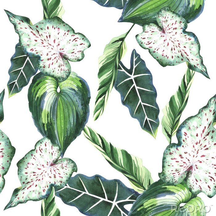 Behang Natuur van Hawaï