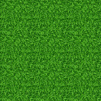 Behang Natuurgras met een groene kleur