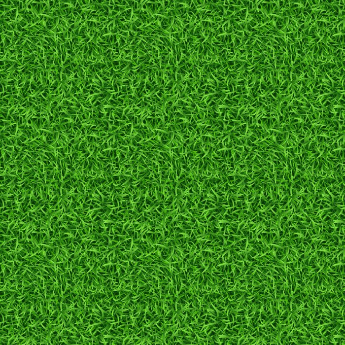 Behang Natuurgras met een groene kleur