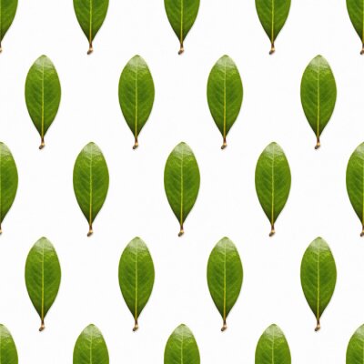Behang Onbevlekte groene bladeren