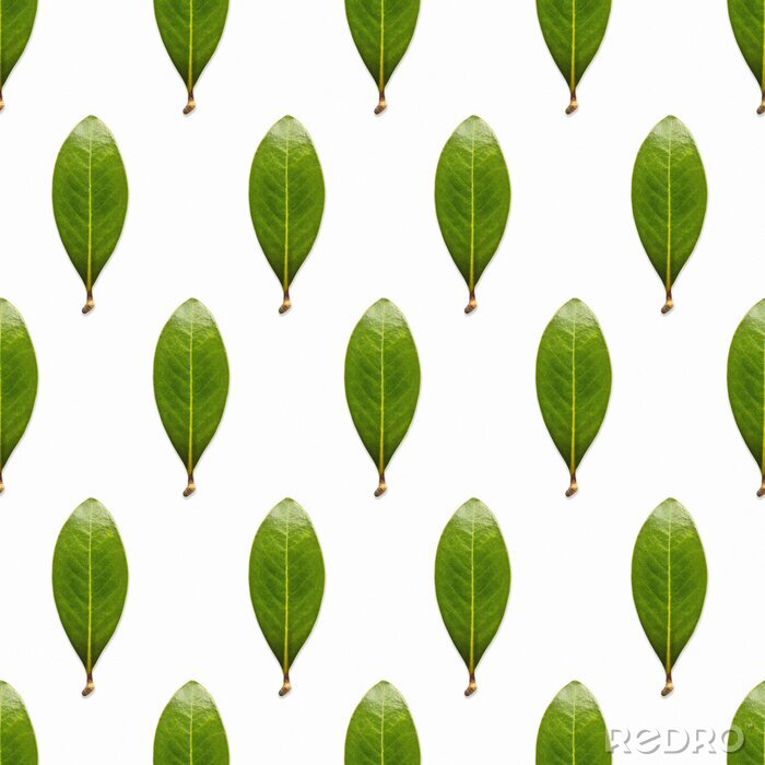 Behang Onbevlekte groene bladeren