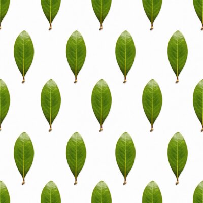 Behang Onbevlekte groene bladeren