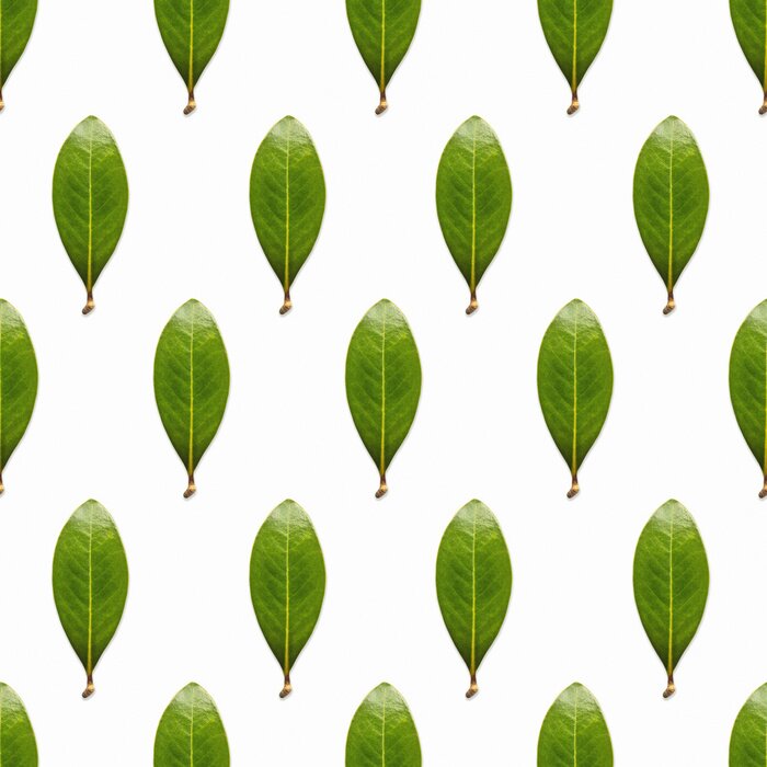 Behang Onbevlekte groene bladeren