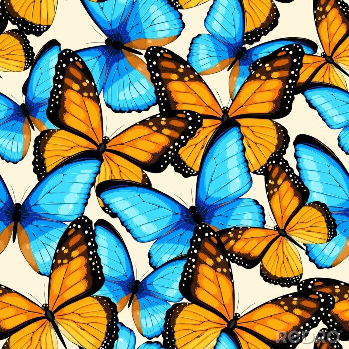 Behang Oranje en blauwe vlinders