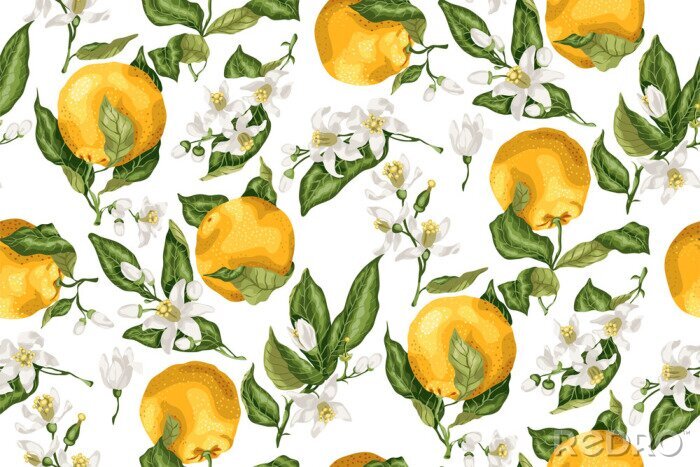 Behang Oranjebloesem en fruit