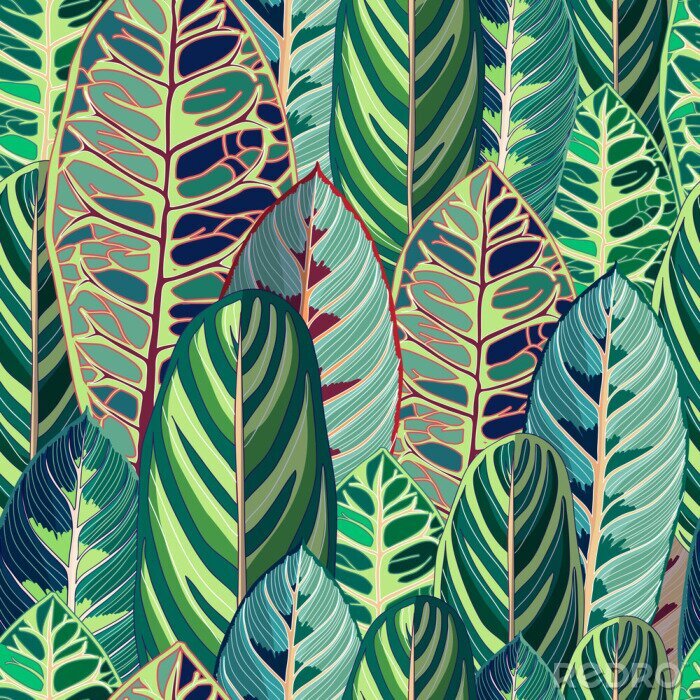 Behang Ovale bladeren uit de jungle