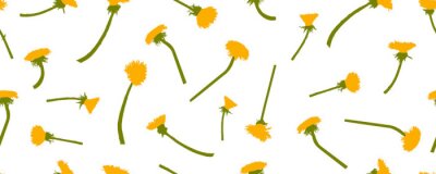 Behang Paardebloem bloemen op een witte achtergrond