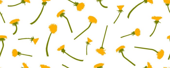 Behang Paardebloem bloemen op een witte achtergrond