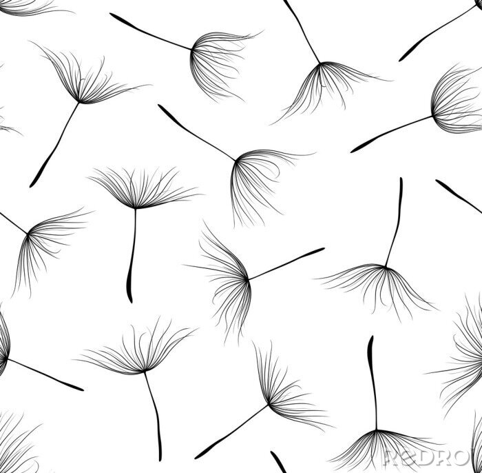 Behang Paardebloem zwart-wit eenvoudige subtiele afbeeldingen