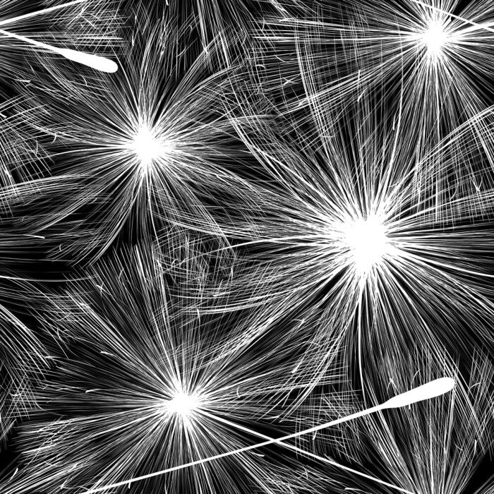 Behang Paardebloem zwart-wit groot patroon