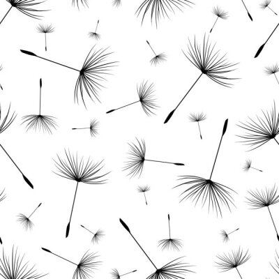 Behang Paardebloem zwart-wit moderne decoratie