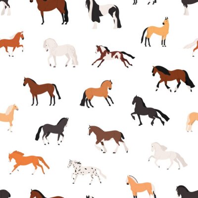 Behang Paarden van verschillende kleuren op een witte achtergrond