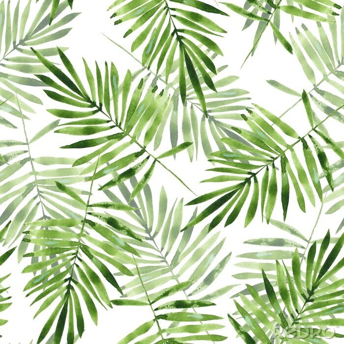 Behang Palm bladeren. Watercolor naadloos patroon 2