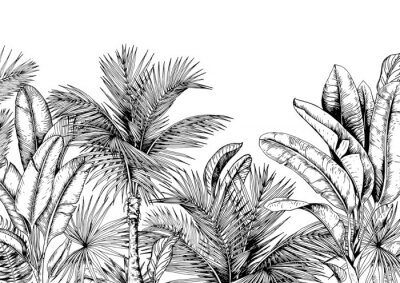 Palm- en bananenbladeren