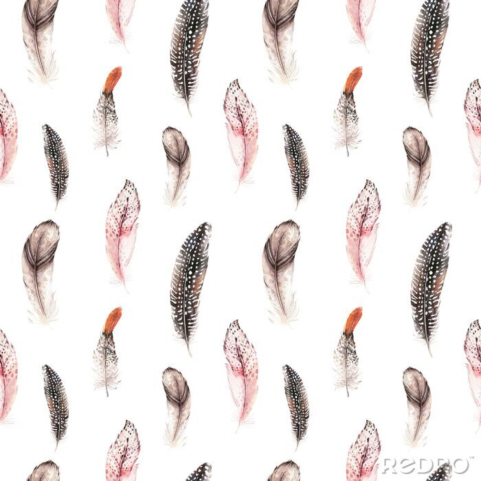 Behang Patroon met delicate vogelveren