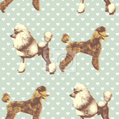 Behang Poedel Met harde Aqua