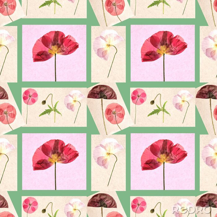 Behang Poppy bloemen onder roze kleuren