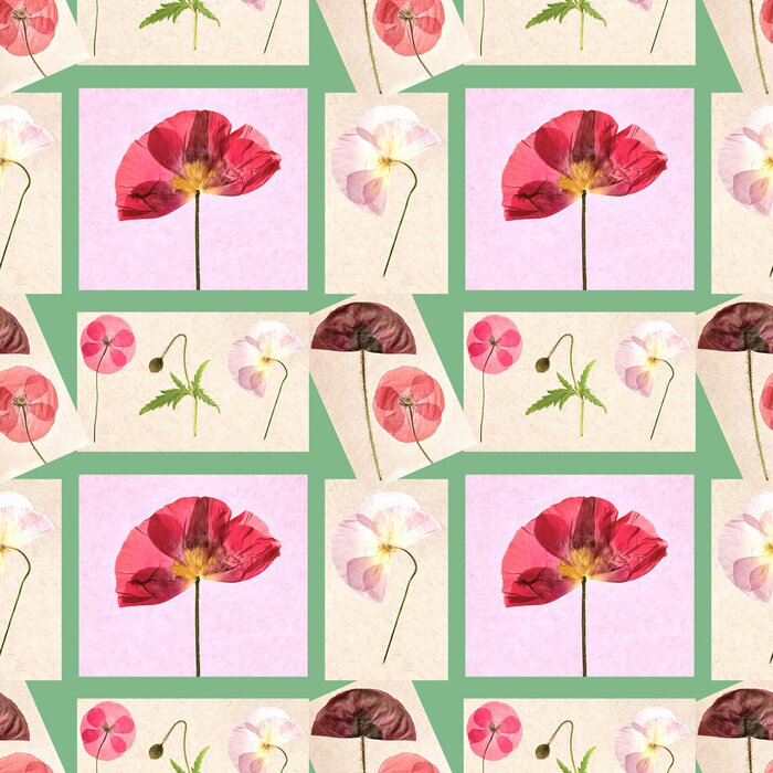 Behang Poppy bloemen onder roze kleuren