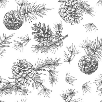 Behang Realistische botanische inktschets van sparrentakken met denneappel op witte achtergrond. Vector illustraties