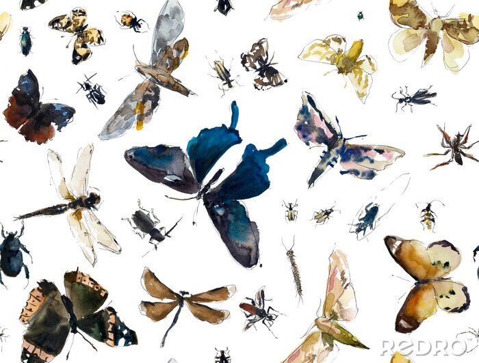 Behang Realistische kleurrijke vlinders en insecten
