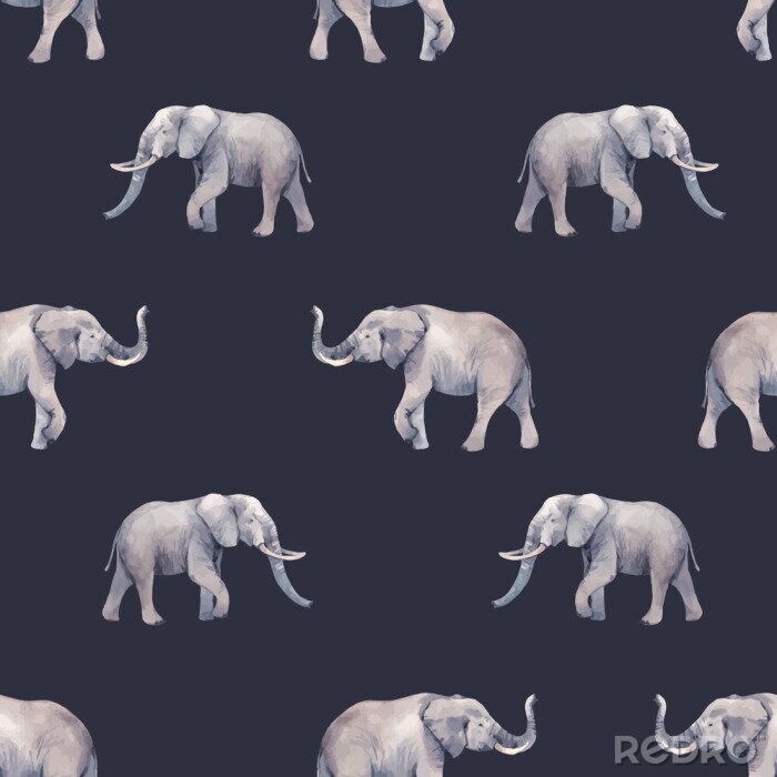 Behang Realistische olifanten op een donkere achtergrond