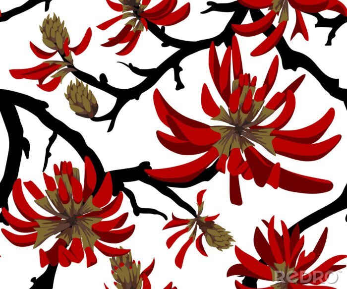 Behang Red flowers on white background. Blooming coral tree. Seamless pattern