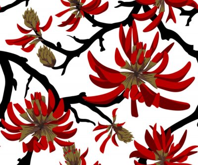 Behang Red flowers on white background. Blooming coral tree. Seamless pattern