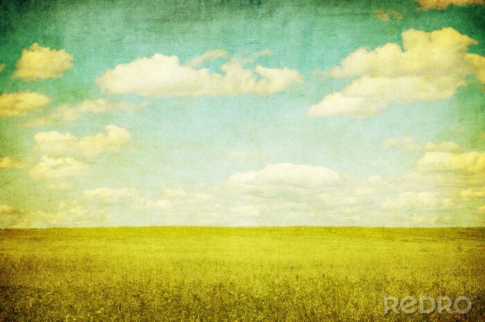 Behang Retro bloemen in de wei