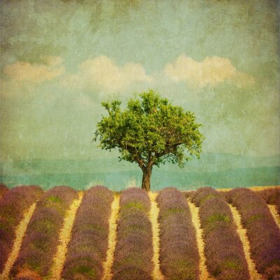 Retro foto met een boom tussen bloemen