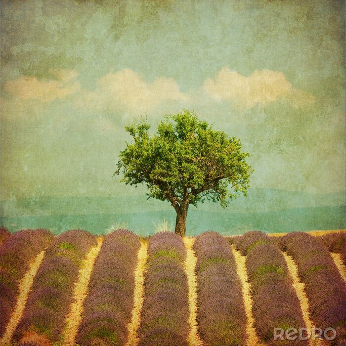 Behang Retro foto met een boom tussen bloemen