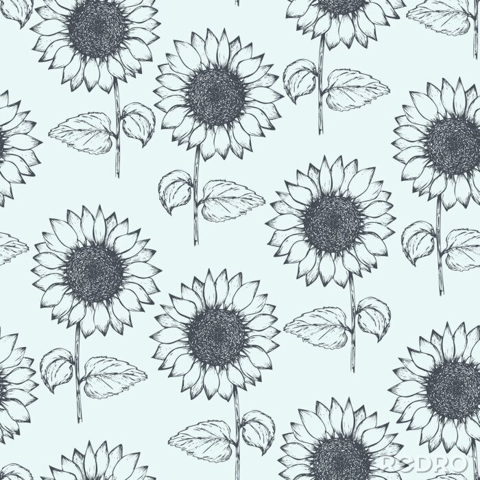 Behang Retro seamless pattern with outline ink pen sunflower sketch on tender blue background. Hand drawn illustration of beautiful sun flower, texture for textile, wrapping paper, surface