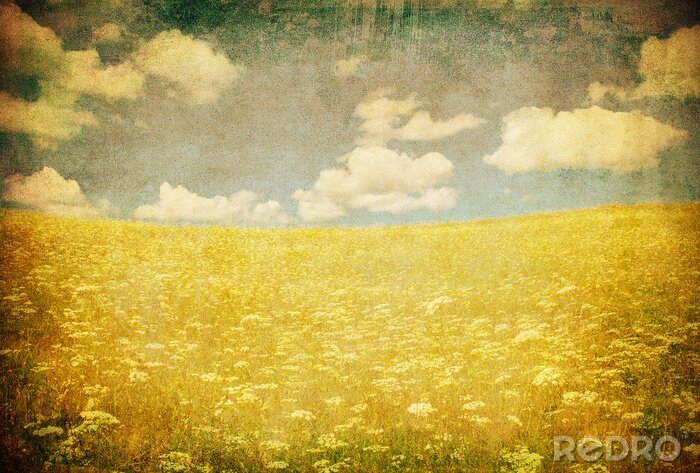 Behang Retro stijl bloeiende weide