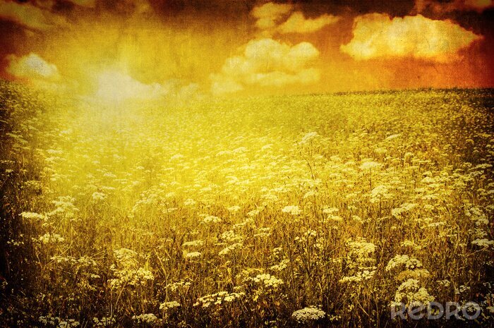 Behang Retro zonsondergang in de wei