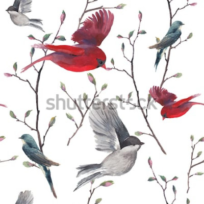 Behang Rode en grijze vogels