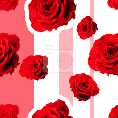 Behang Rode rozen op een wit-roze achtergrond