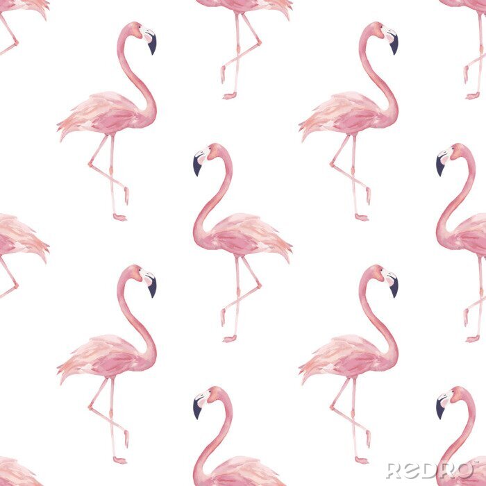 Behang Roze flamingo's op een witte achtergrond