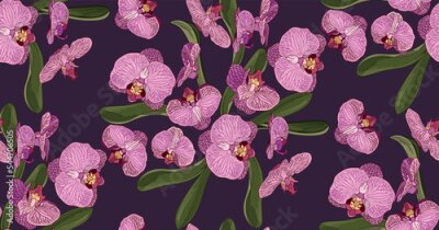 Behang Roze orchidee in bloei