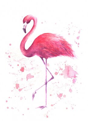 Roze zachte flamingo